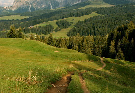 Sentiero Saltria, il single track delle meraviglie in Alpe di Siusi