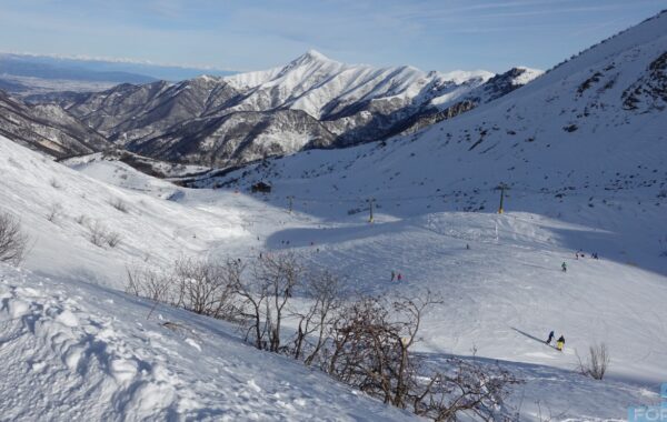 Limone Piemonte – Riserva Bianca