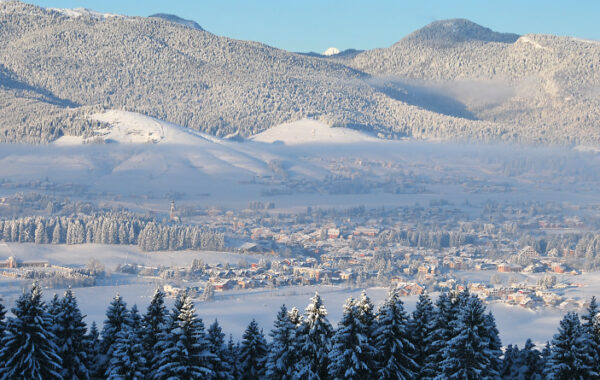 Asiago