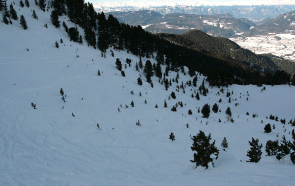 Alta Val della Roda