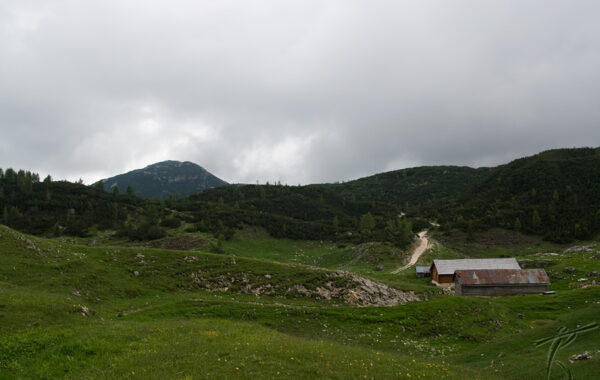 Cima Ortigara, sui campi di battaglia della Grande Guerra, Asiago