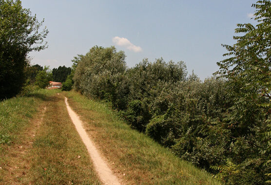 Anello fluviale di Padova in mountain bike