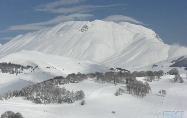 Forca Canapine
