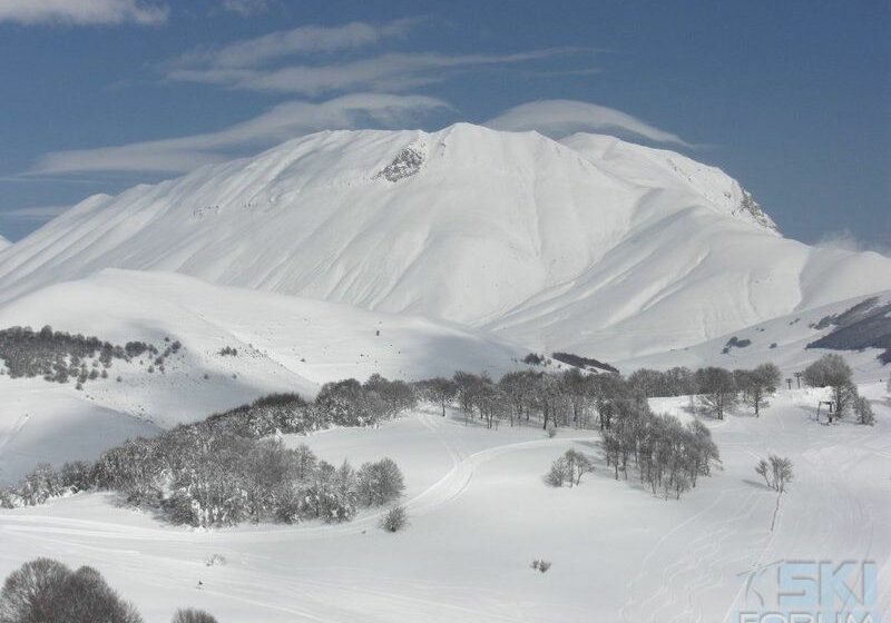Forca Canapine