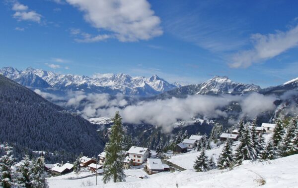 Chamois