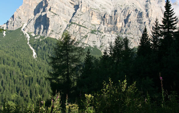 Rifugio Venezia da Zoppè di Cadore