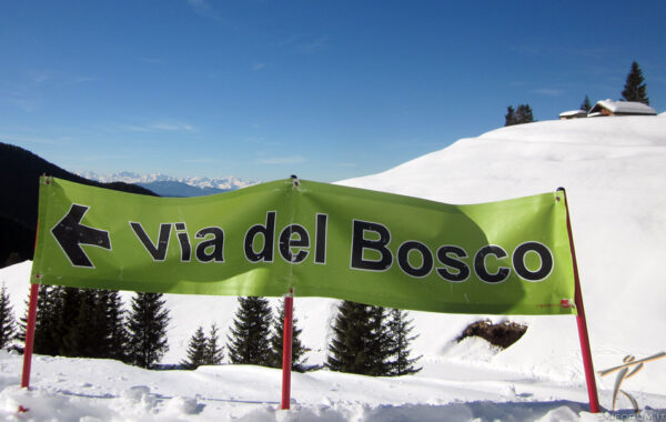 Via del Bosco