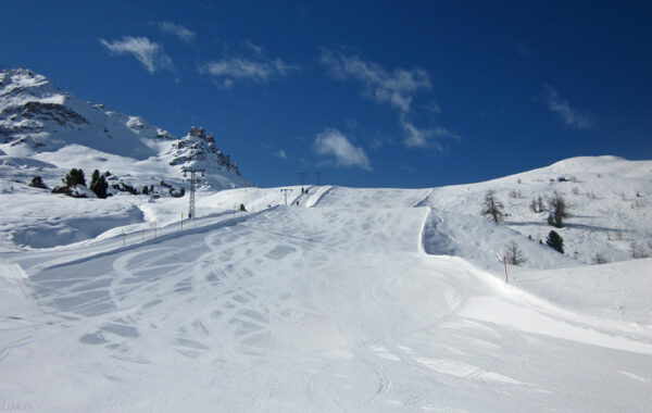 Curtinella Run