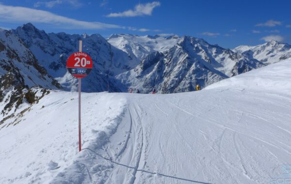 Alpino