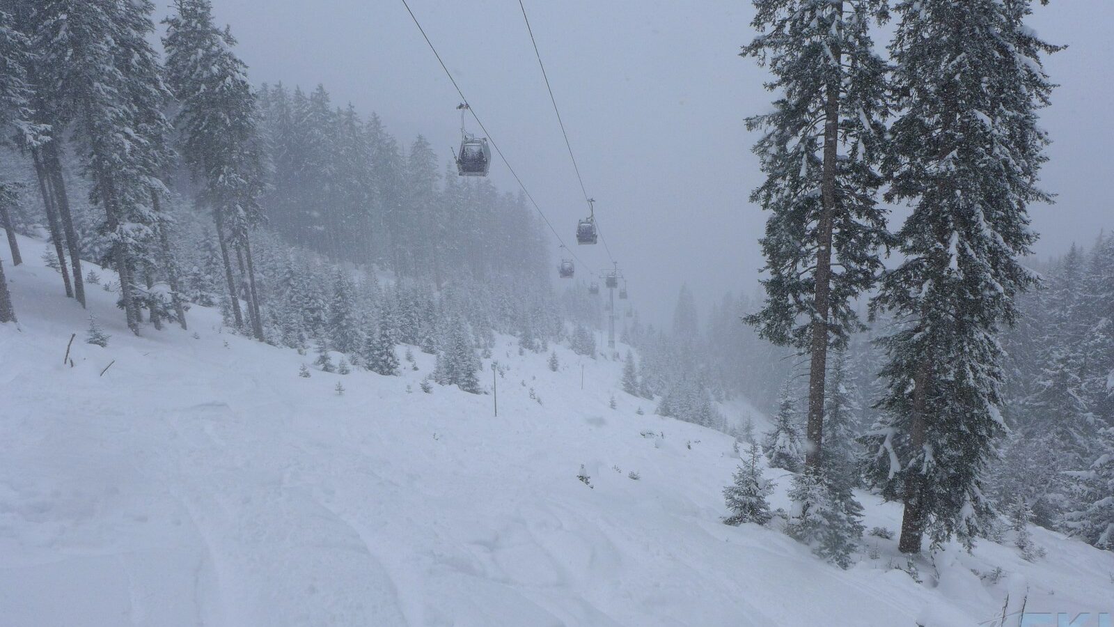 freeride alpe Cermis
