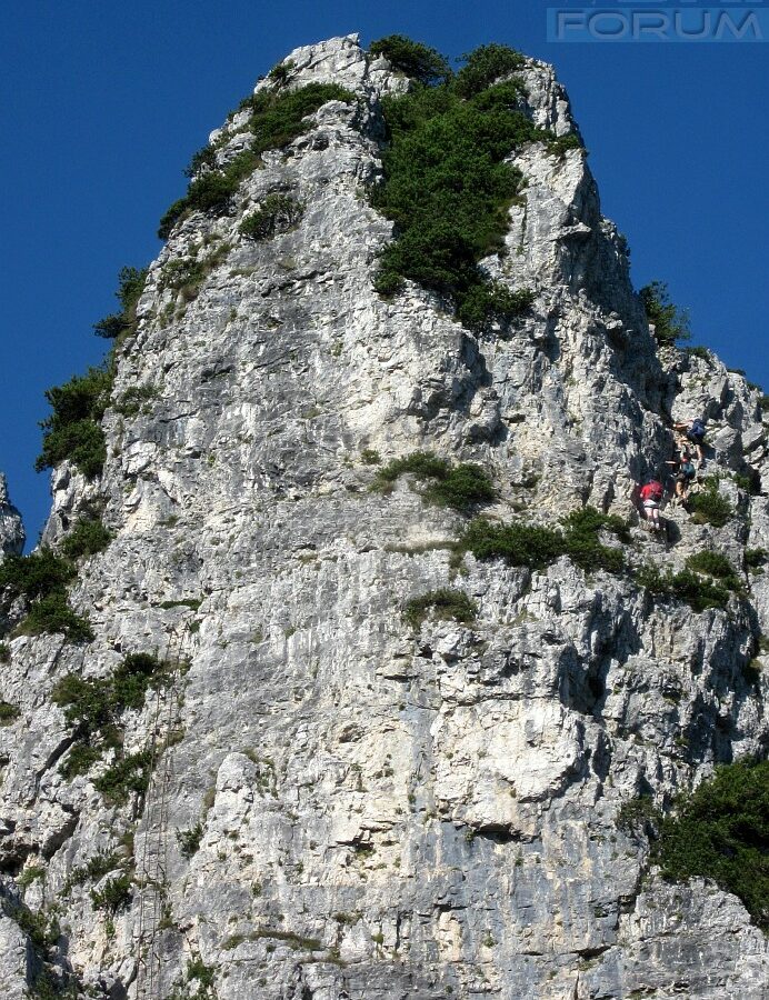 tratto verticale