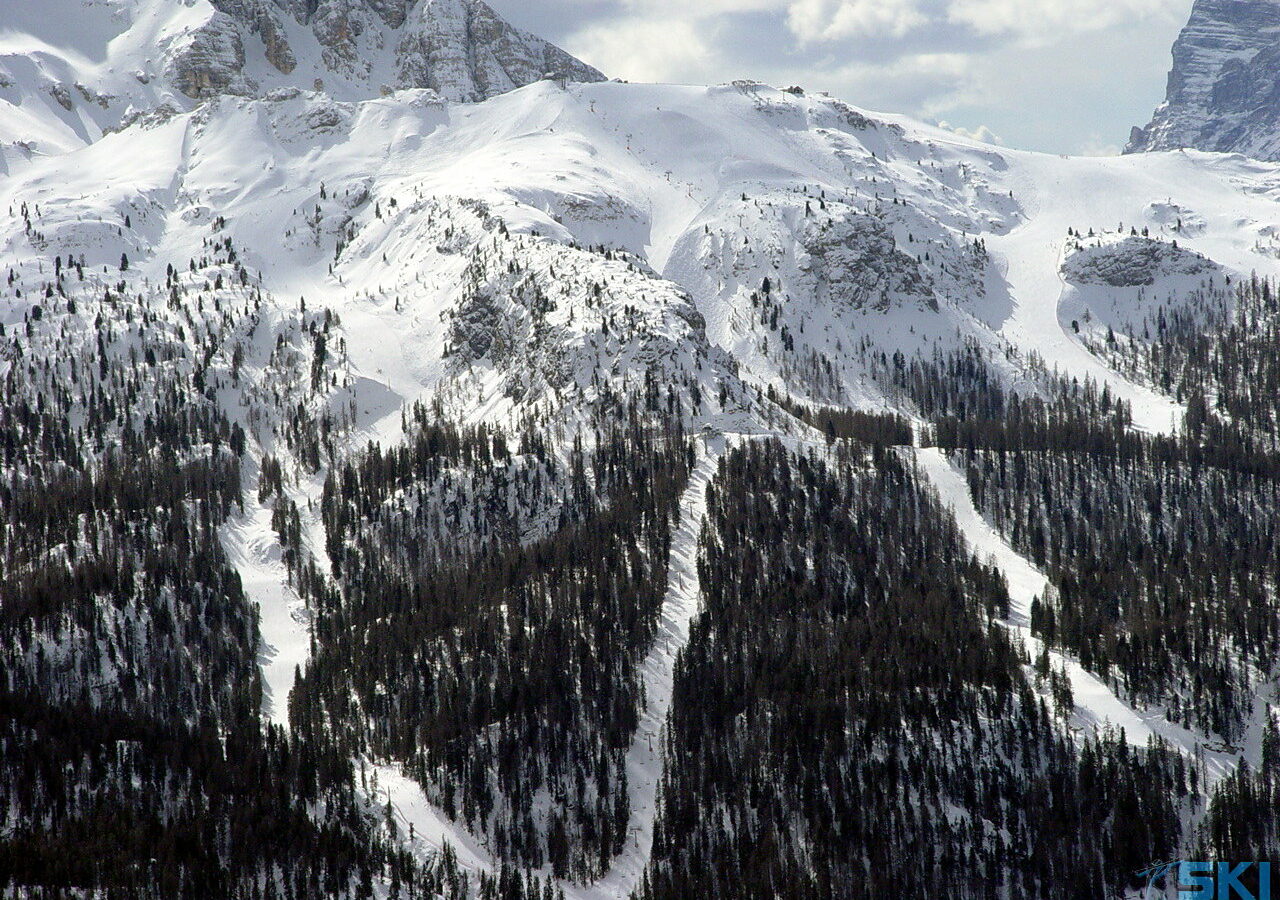 Boschetti Faloria