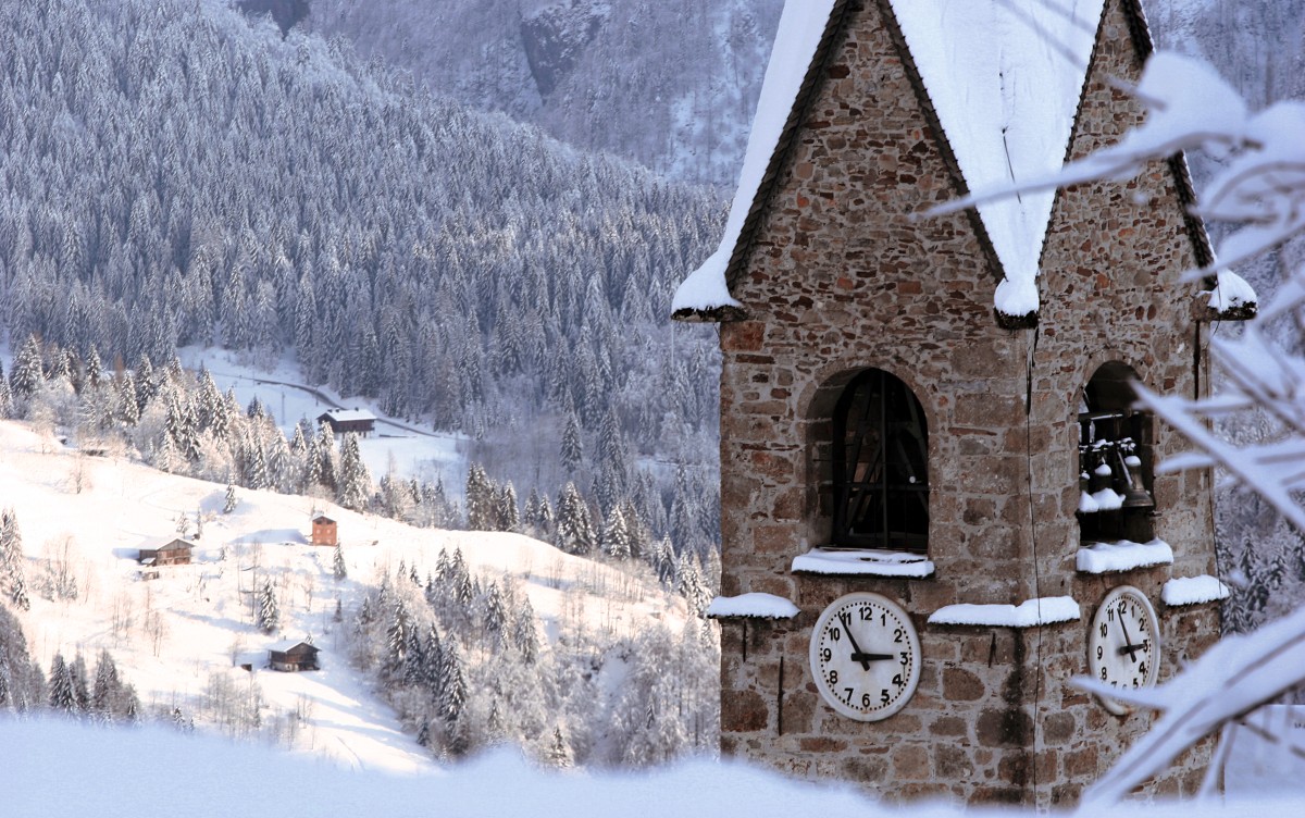 Sauris