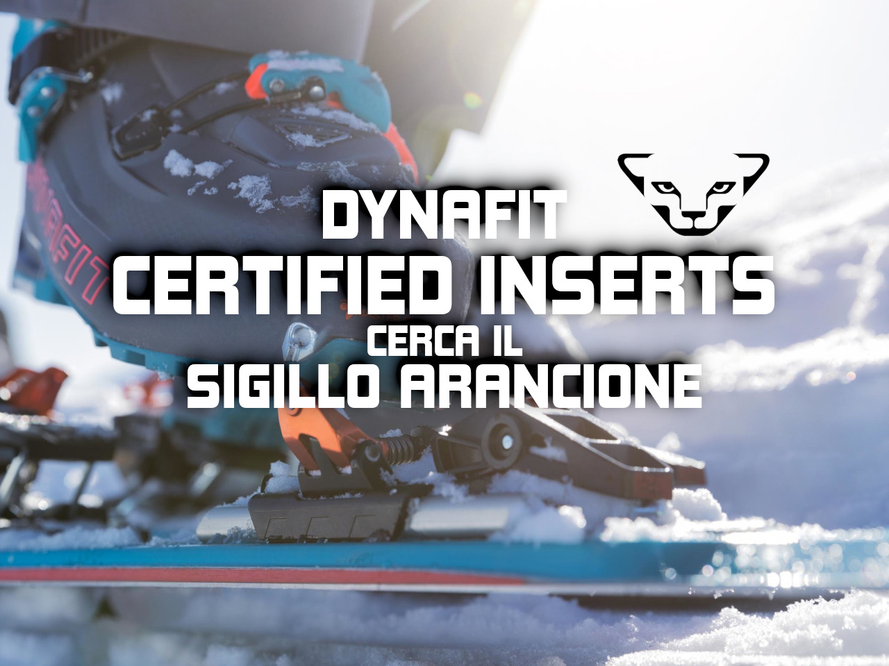 DYNAFIT CERTIFIED INSERTS: cerca il sigillo arancione