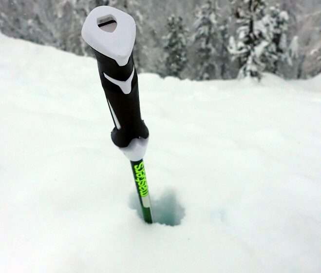 Bastoncino da sci in carbonio Masters ST Carbon