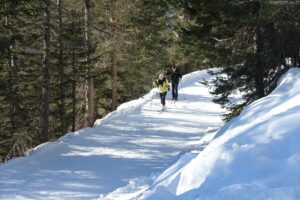 Dolomiti Nordicski: 1000 km di piste da fondo per il carosello più grande d’Europa
