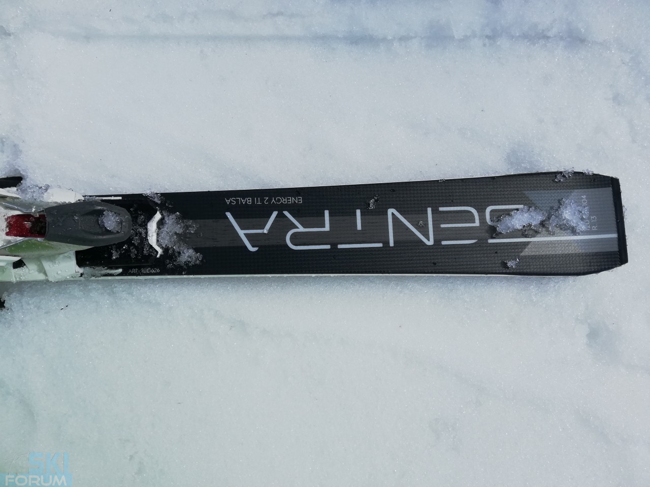 Nordica Sentra SL7 (sci da donna stagione 2019/2020)