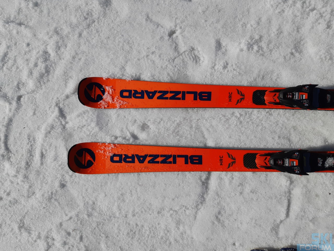Blizzard Firebird HRC stagione 2019/2020